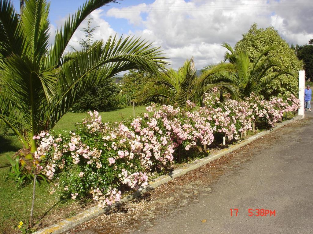 Mountain View Motel Levin Luaran gambar